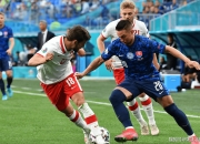 英雄联盟总决赛直播-捷克球员在国际赛事中打出神勇表现