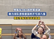 英雄联盟总决赛门票-德国队横扫葡萄牙队，樊振东点燃赛场