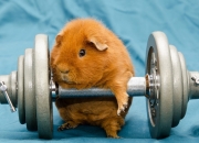 LOL赛事-年度焦点之战，埃及队踏平挪威，足球世界的震撼之夜