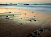 LOL赛事-掘金压哨绝杀背后，那个如字母哥般横贯全场的隐形核心