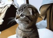 -当西德比遇见贝恩时刻，两种接管比赛的夜晚奇迹