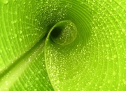 英雄联盟总决赛2025-东决诸神黄昏，异邦人拉亚的攻防统治之夜