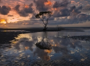 英雄联盟总决赛时间-世纪平行宇宙，沙特补时绝杀尤文，卡马文加抢七轰50分！我们的夜晚，是两颗恒星交错的轨迹