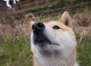 LOL决赛-平行宇宙跨界盛景，NBA季后赛之夜孔德完成足球里程碑