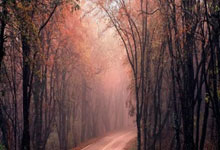 魔幻昨夜！掘金铁蹄踏碎国足草坪裁判哨声引爆世纪争议