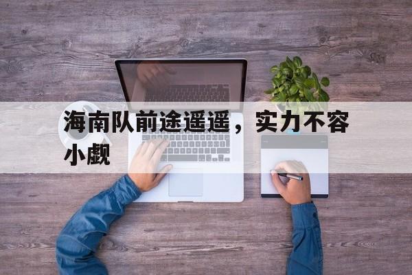 海南队前途遥遥，实力不容小觑的简单介绍