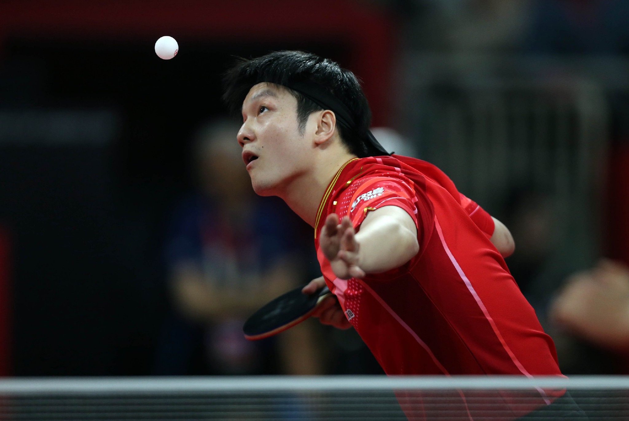 波兰队险胜法国队,樊振东刷新纪录 波兰队险胜法国队,樊振东刷新纪录