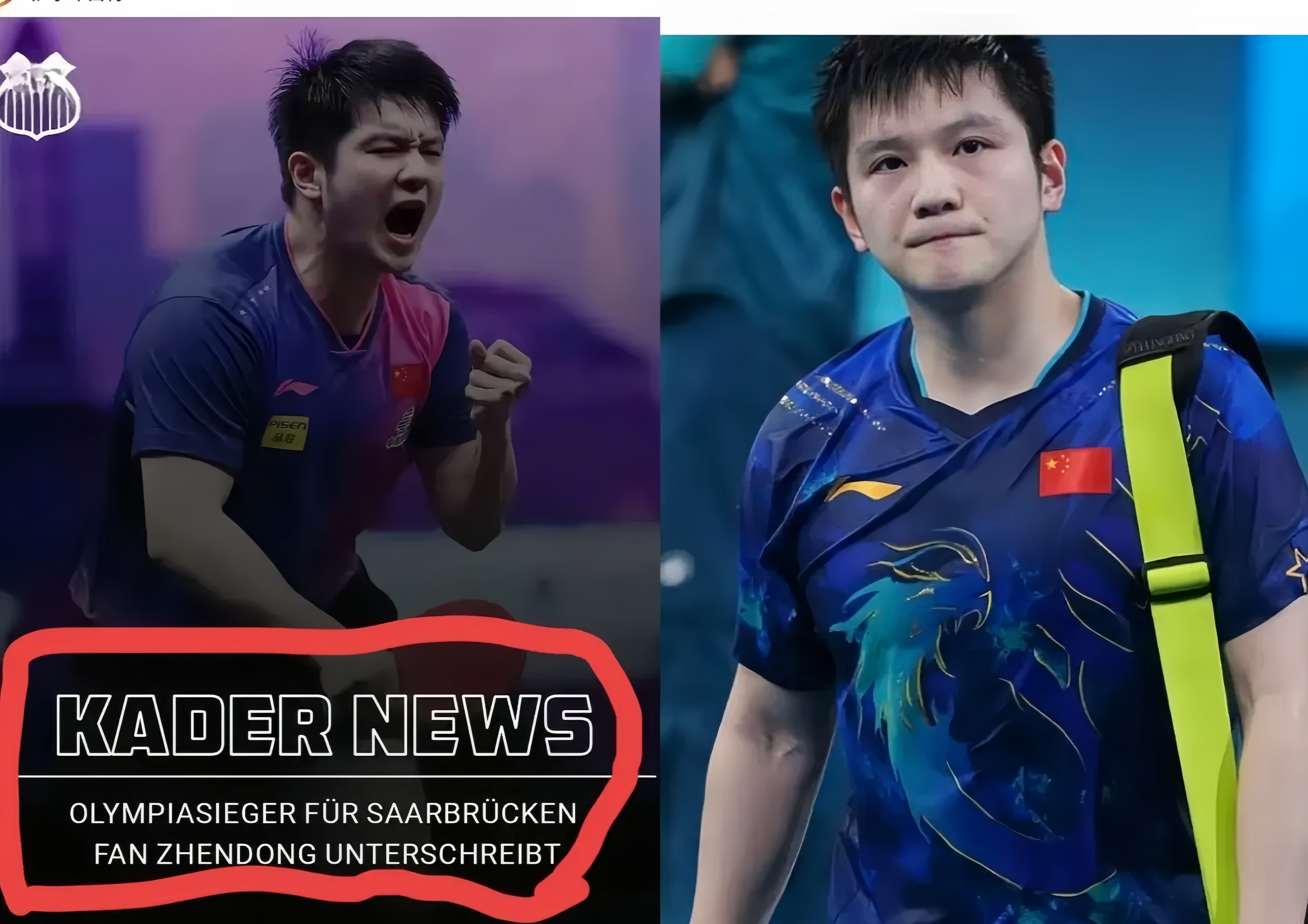 德国队力克瑞典队,樊振东惊艳四座 德国队力克瑞典队,樊振东惊艳四座