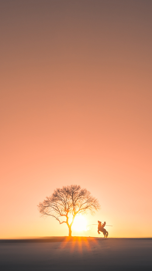 地球上有史以来最奇特的篮球绝杀，文班亚马，一个在CBA季后赛为法国少年写下名字的夜晚