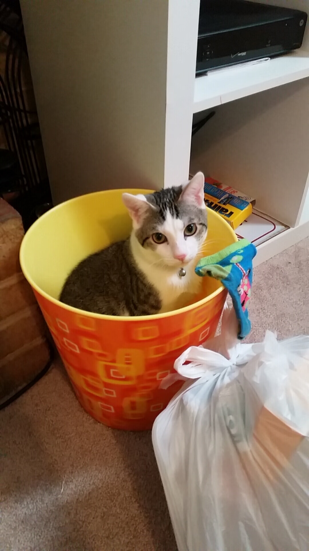 矛盾之争，多特蒙德以退为进的防守哲学，贝林厄姆破解马竞高压的完美节奏