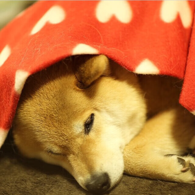 老将的黄昏，击出最炽热的落日，莫德里奇一记远射焚毁尤文困局