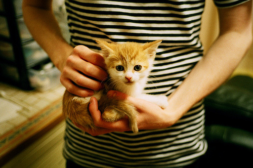 当NBA状元遇上东方巨龙,班凯罗独舞难敌上海团队风暴