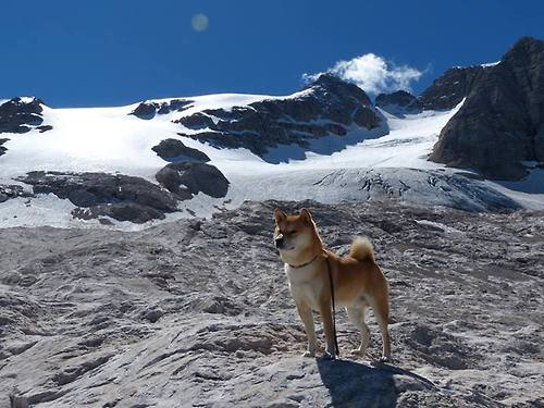 单节攻防风暴!广厦队第三节一波流击溃强敌,本土核心化身关键先生伦纳德