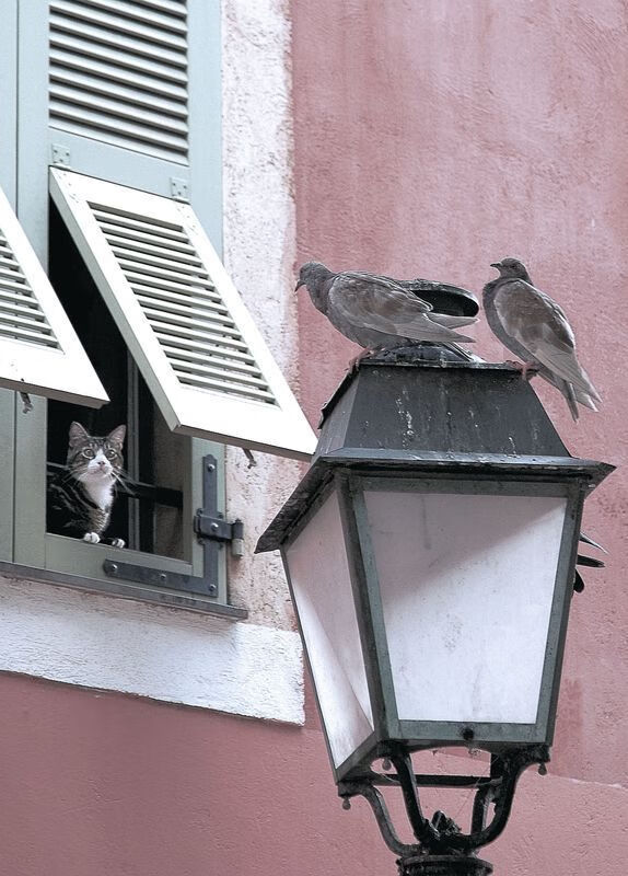 神话重演,托尼一锤定音,波兰强势攻克丹麦防线