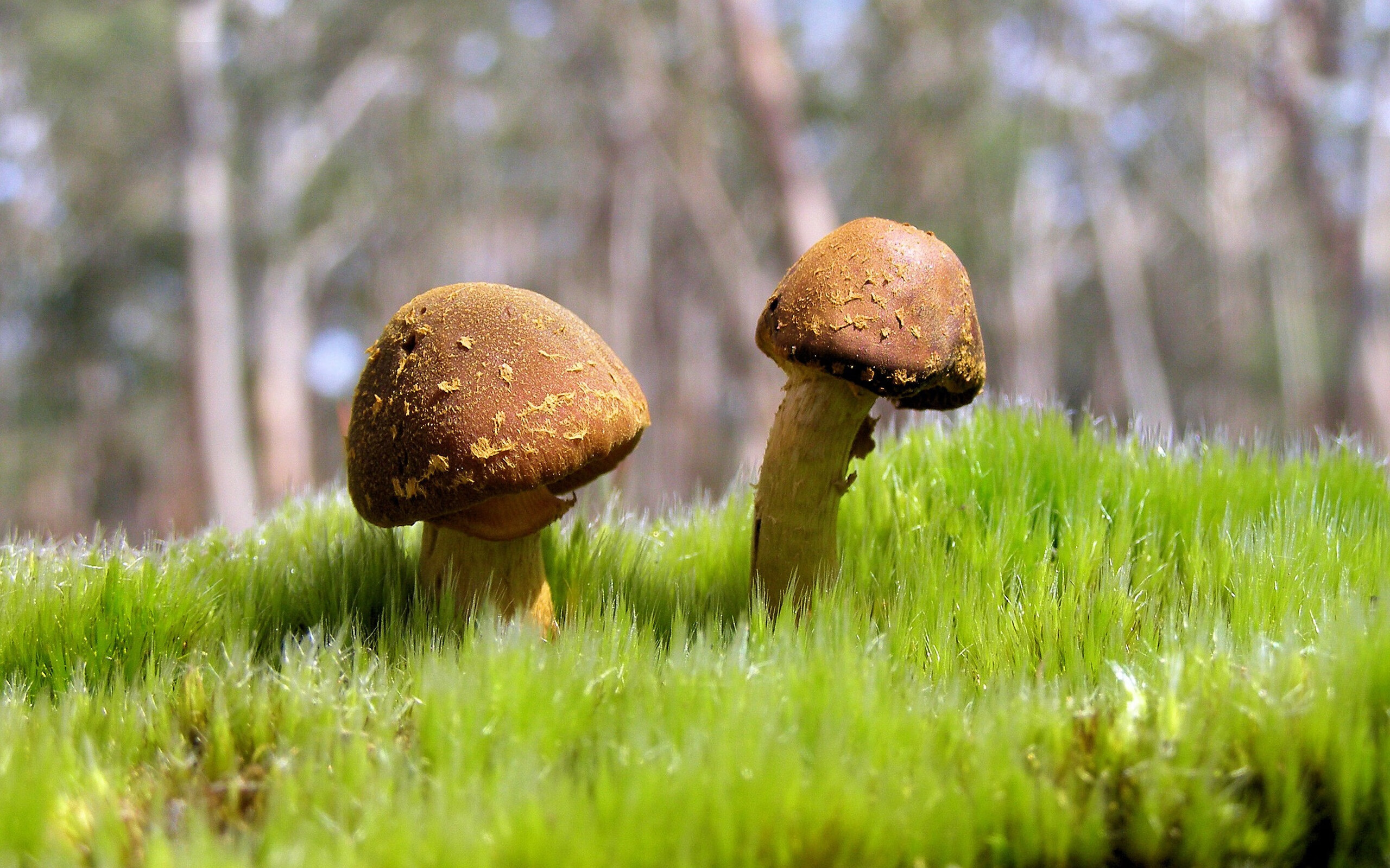 唯一穆勒,一场定义传奇的90分钟