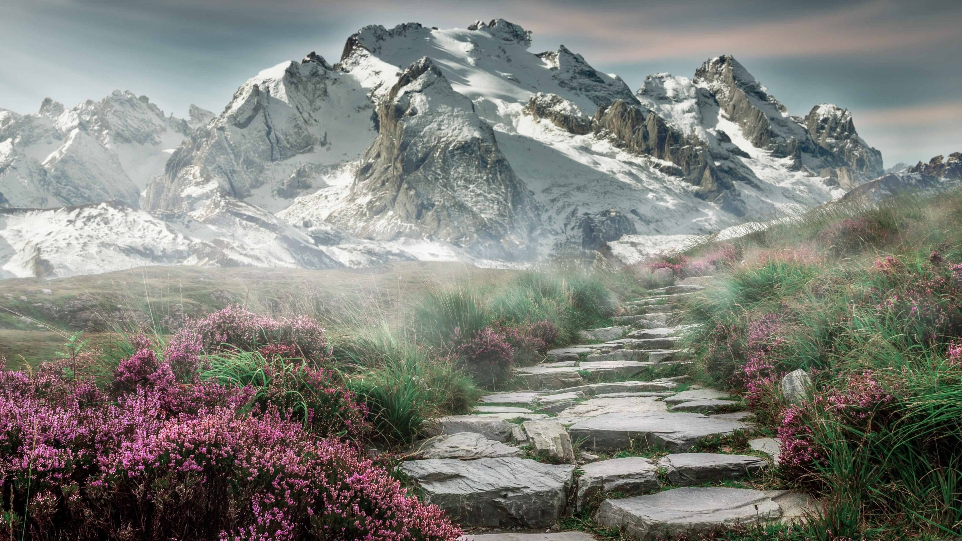 红线与节奏,极速与掌控的双重艺术