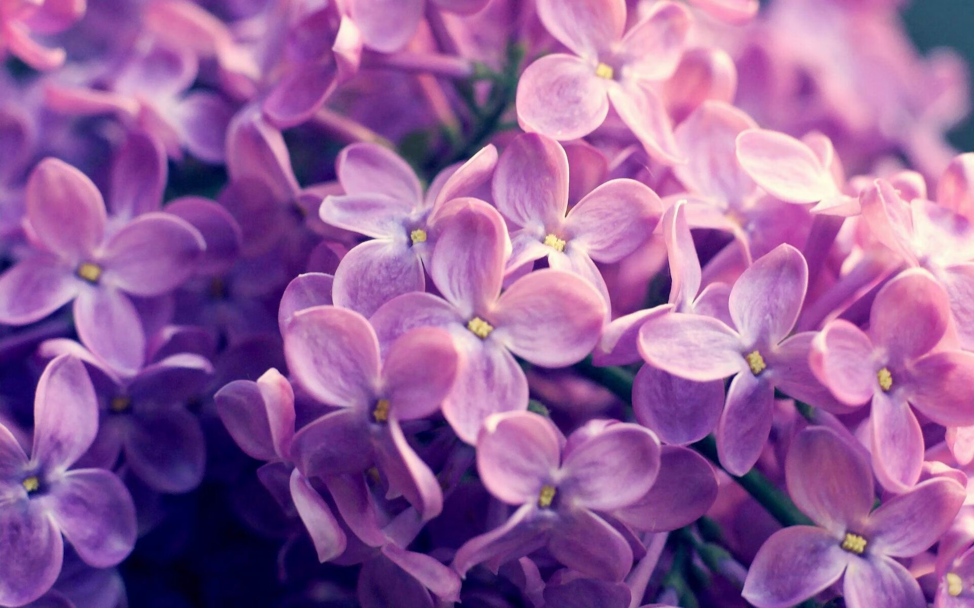 西甲国家德比日的意外风暴,安哥拉友谊赛爆冷击败塞维利亚