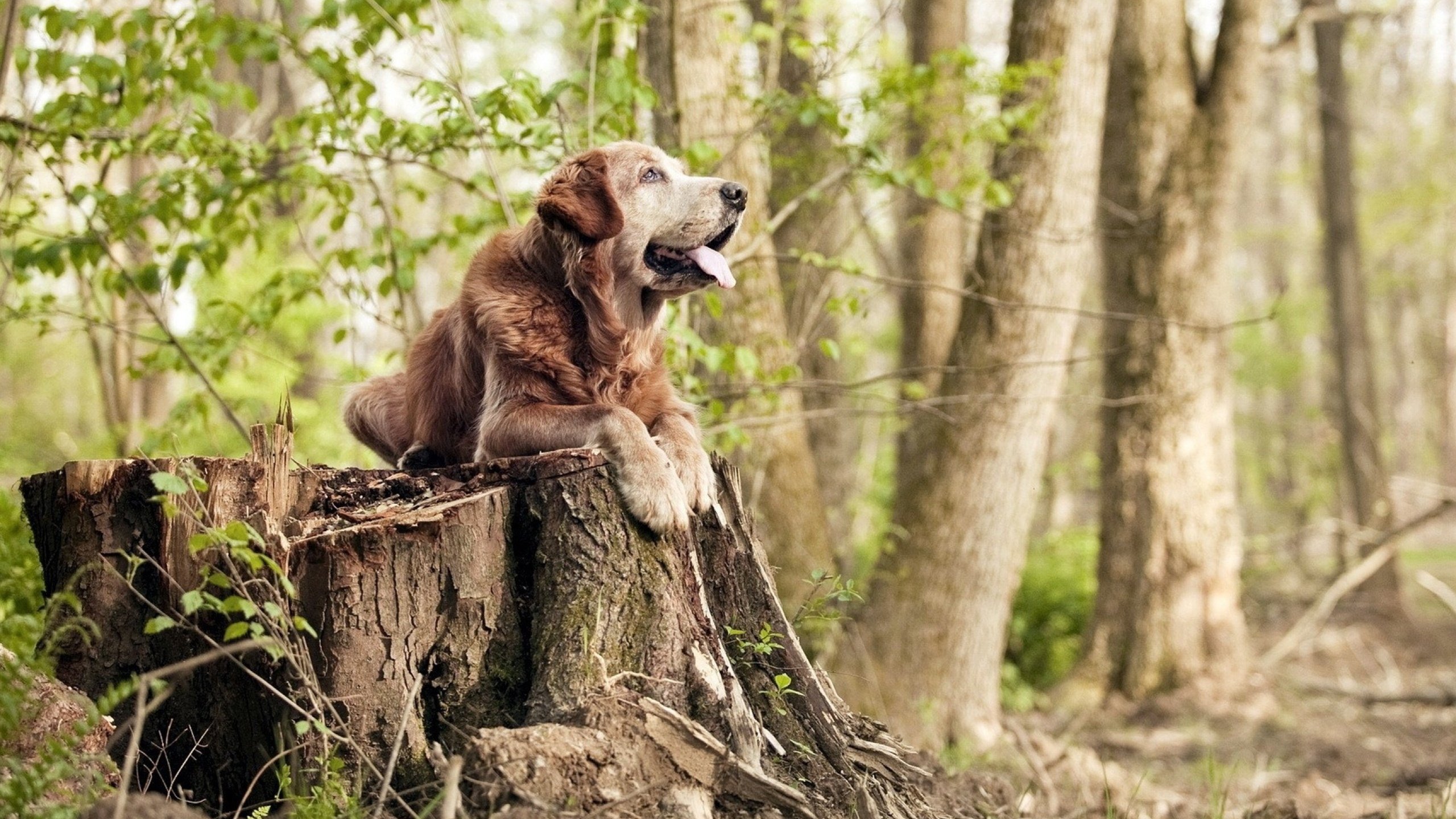 团队铁血遭遇天才闪光，土耳其晋级夜，黄喜灿一箭穿心